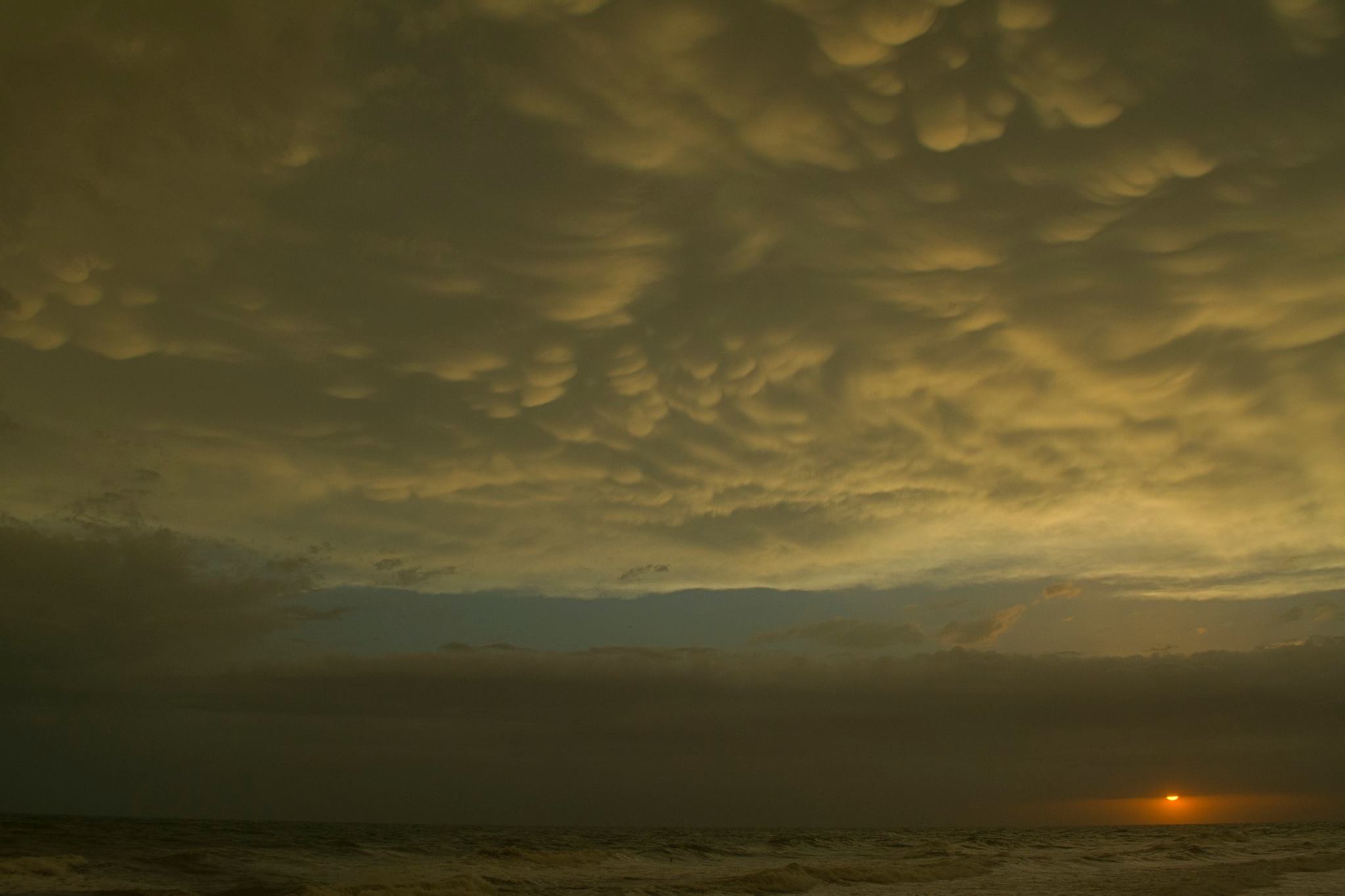 Che cosa chiamiamo davvero natura?